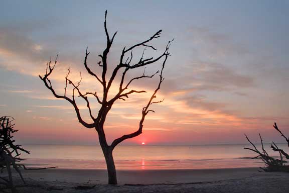 Jekyll diriftwood beach sunrise